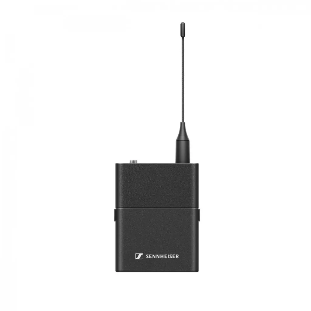 508742 3.webp