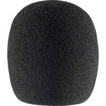 Sennheiser MZW 8000