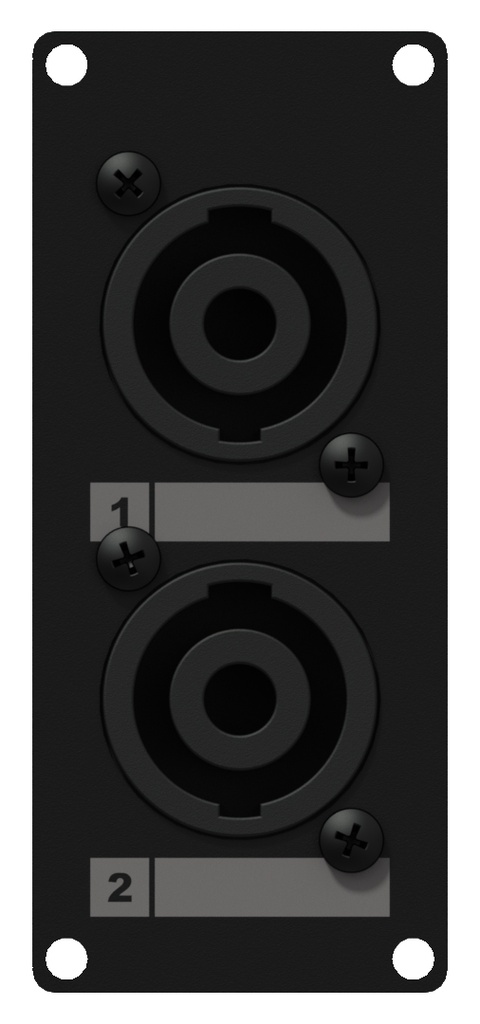 Caymon Casy 1 space 2x speakon to 4-pin