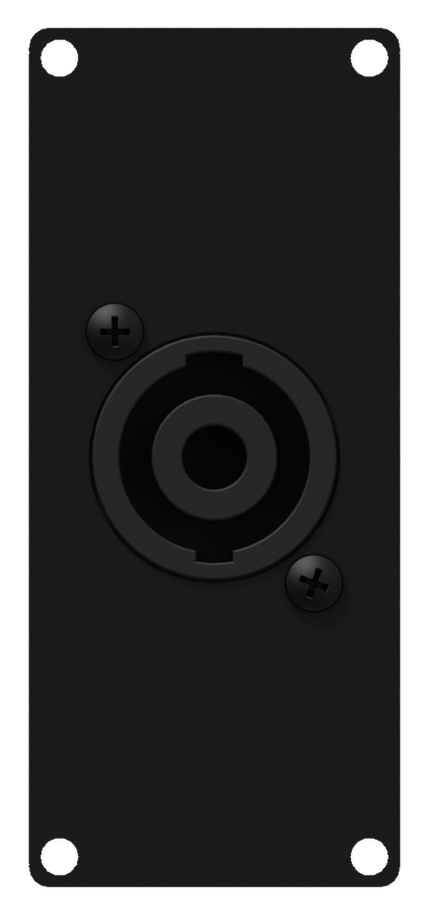 Caymon Casy 1 space speakon to 4-pin tb