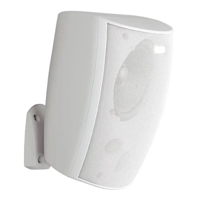 Paso 30W cabinet two-way loudspeake