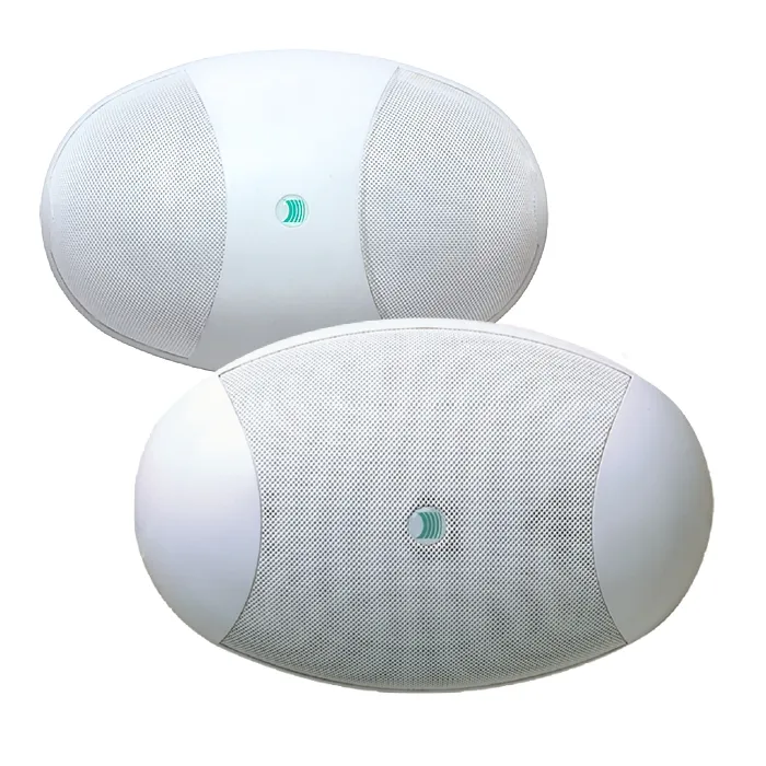 Paso C36/6-2EN ceiling/wall mounted oval speaker, bi-directional